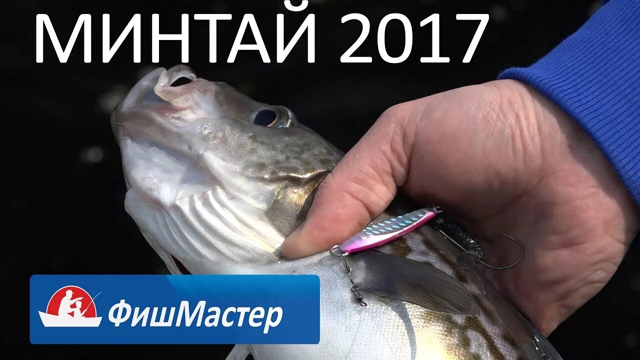 Брюшки минтая сушеная. Аэрофлот владивосток. Минтай см бг. Минтай с/м б/г вес, 1 кг зао "курильский рыбак". Минтай см бг.