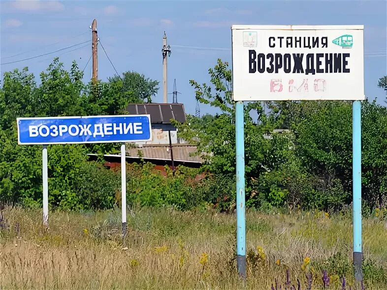 Погода возрождение. Погода возрождение. Погода возрождение. Поселок возрождение саратовская область. Старая яблонка.
