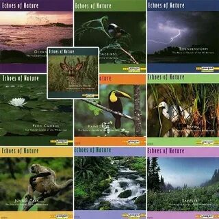 Звуки природы 10