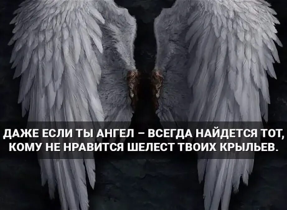 Ангелы всегда. Цитаты про Крылья. Высказывания про Крылья за спиной. Цитаты про ангелов.
