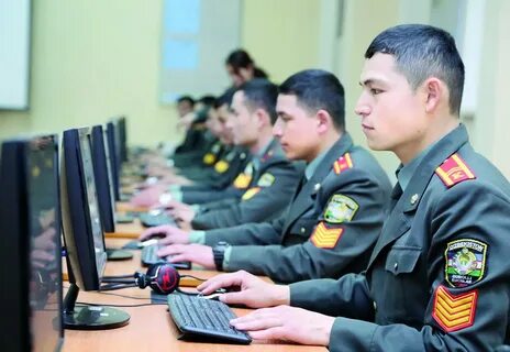 Государственная служба обучение