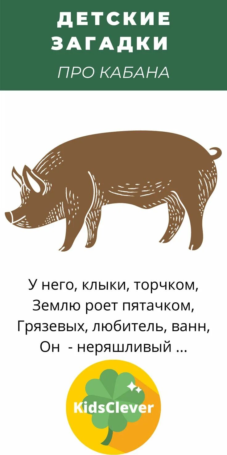 Загадка про кабана. Загадки про Кабанов. Детская загадка про кабана. Загадки про кабана для дошкольников.