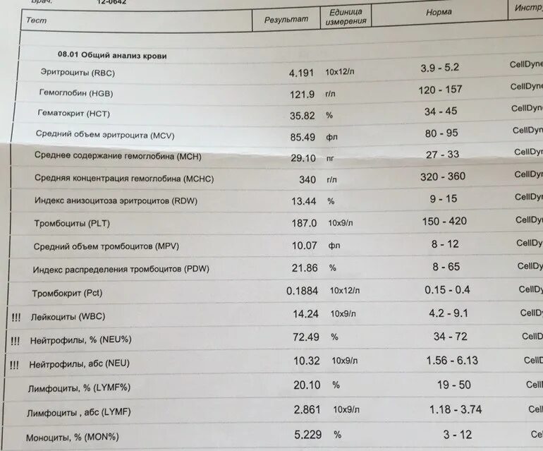 Лейкоциты у беременных 2 триместр. Нормы клинического анализа крови у беременных 1 триместр. Анализ мочи при беременности расшифровка и нормы. Расшифровка анализа мочи при беременности 2 триместр. Общий анализ мочи нормы показателей при беременности.