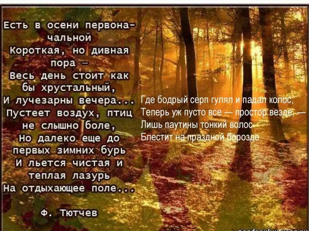 Тот самый день в году стих. Стихи. Стихи про осень. Стихи про осень короткие. Красивые осенние стихи.