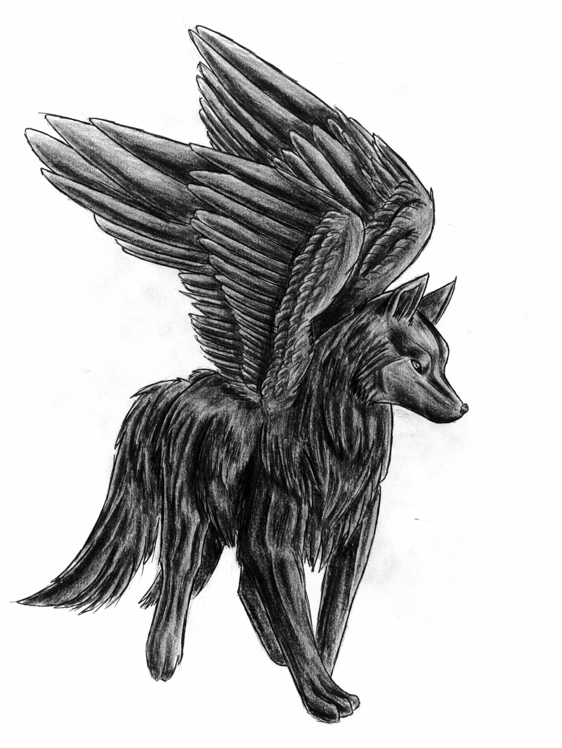 Крылатая собака. Симуран крылатый волк. Симуран Славянская мифология. Крылатый волк Семаргл. Симуран волкодав.