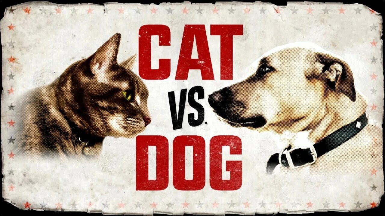 Cat in a dogs world. Коты vs собаки. Кошки против собак. Кот против собаки. Кошки против собак 1.