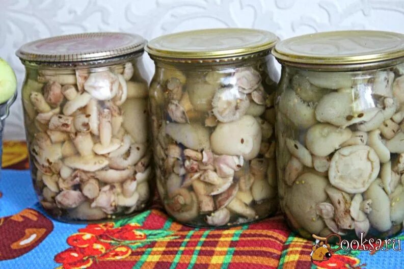 Маринованные маслята с майонезом. Грибы в банке. Маринованные маслята без стерилизации банок. Маслята на зиму в банках. Маринованные маслята без стерилизации банок.
