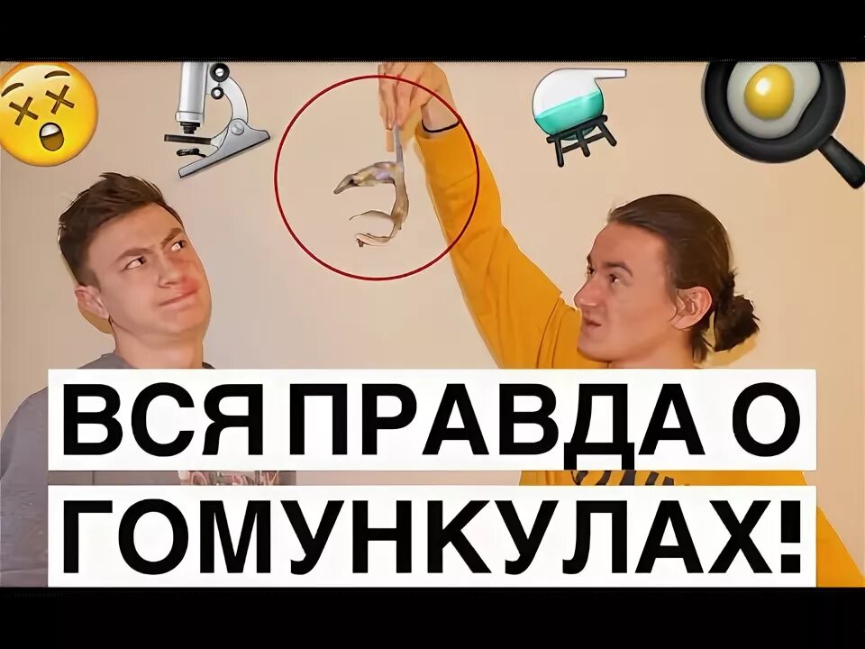 Усманов гомункул. Гомункул правда или ложь. гомункул правда или нет.