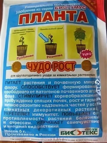 Чудо рост