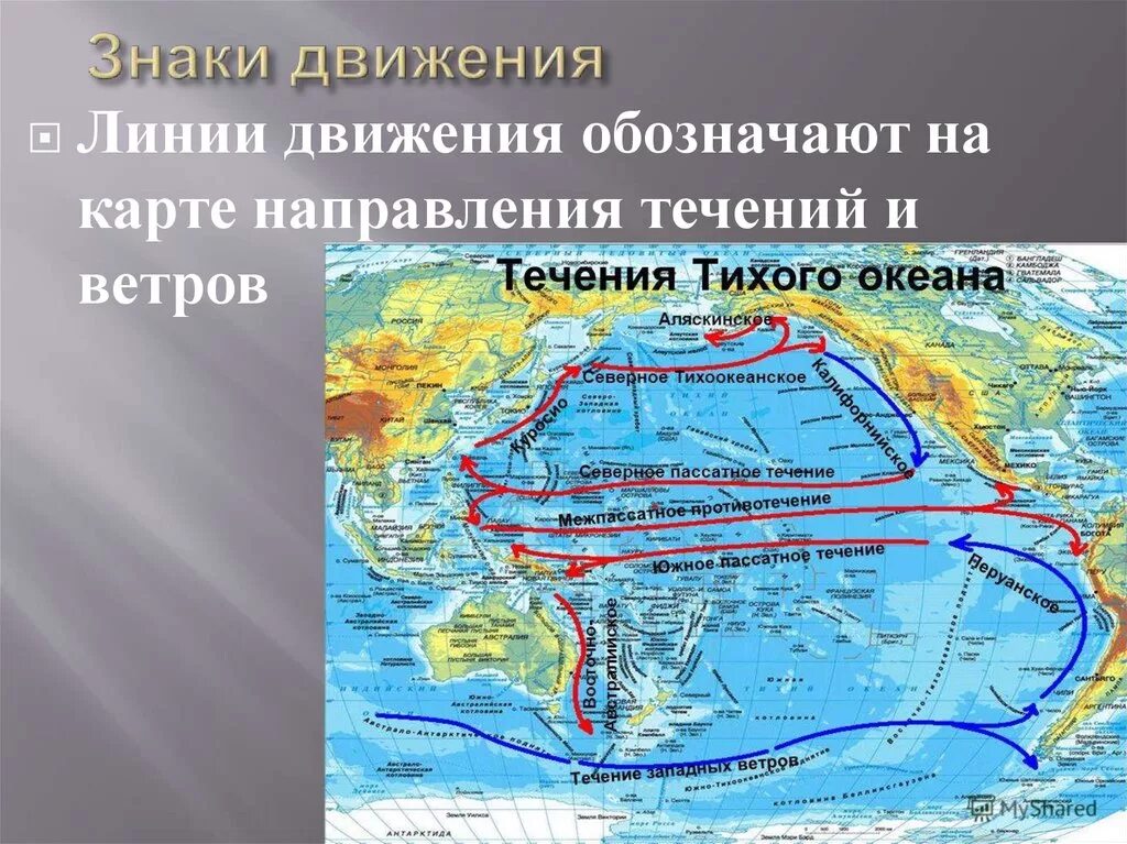 В норильске теплое океаническое течение. Течения Тихого океана. Холодное течение Тихого океана. Течения Тихого океана теплые и холодные. Течение западных ветров на карте.