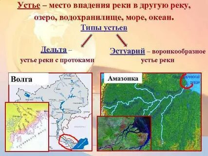 Устье реки волга и амазонка