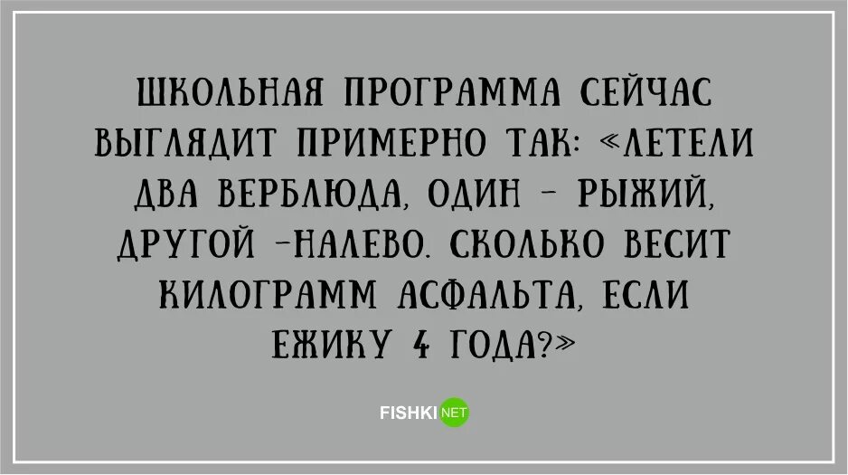 Смешные фразы про школу. Смешные высказывания про школу. дети о школе смешные высказывания. школьные афоризмы. анекдот про учебу в школе.