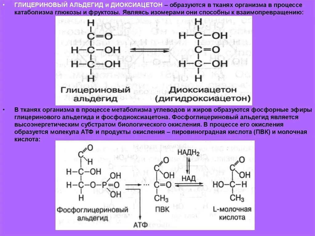 Глицеральдегид и диоксиацетон. Глицериновый альдегид и диоксиацетон. Глицериновый альдегид биологическая роль. Диоксиацетон функции в организме. Последовательность процессов при окислении фруктозы