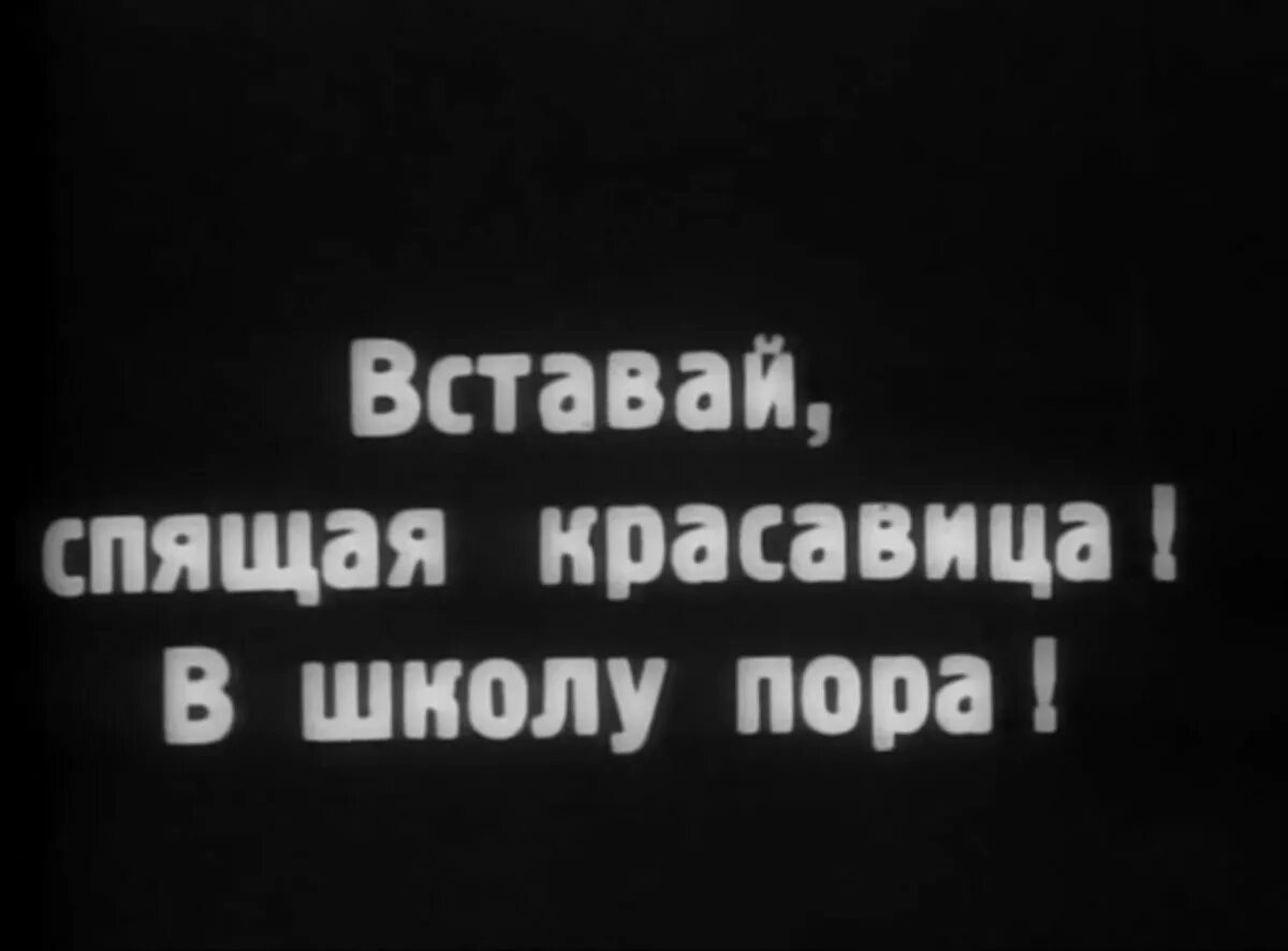 Давай блять вставай в школу