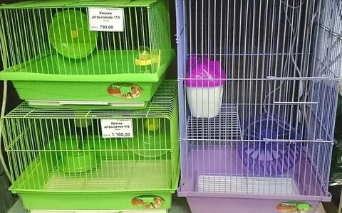 Грызунов садовод