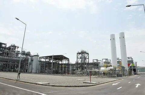 Pp plant