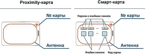 Из чего состоит карта