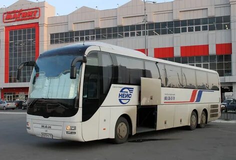 Автобус рейс ростов