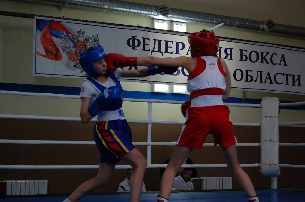 Бокс суворовское. Бокс суворовское. Бокс суворовское. Чемпионат крыма по боксу. Бокс суворовское.