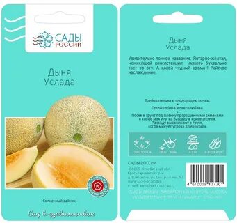Дыня дюна