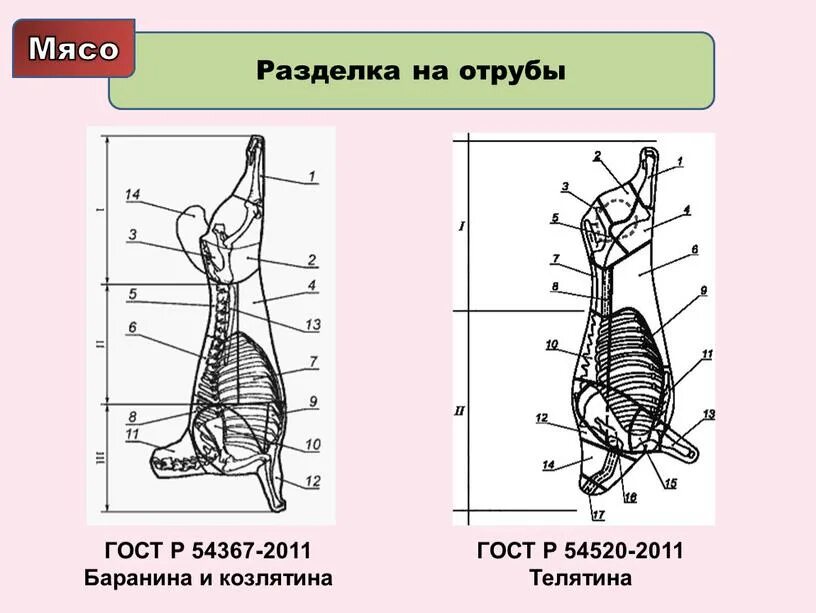 Назовите части передней четвертины говяжьей туши. Схема разделки говядины на отрубы. Схема разделки свинины на отрубы. Схема разделки свиной туши на отруба. Схема разруба туши баранины.