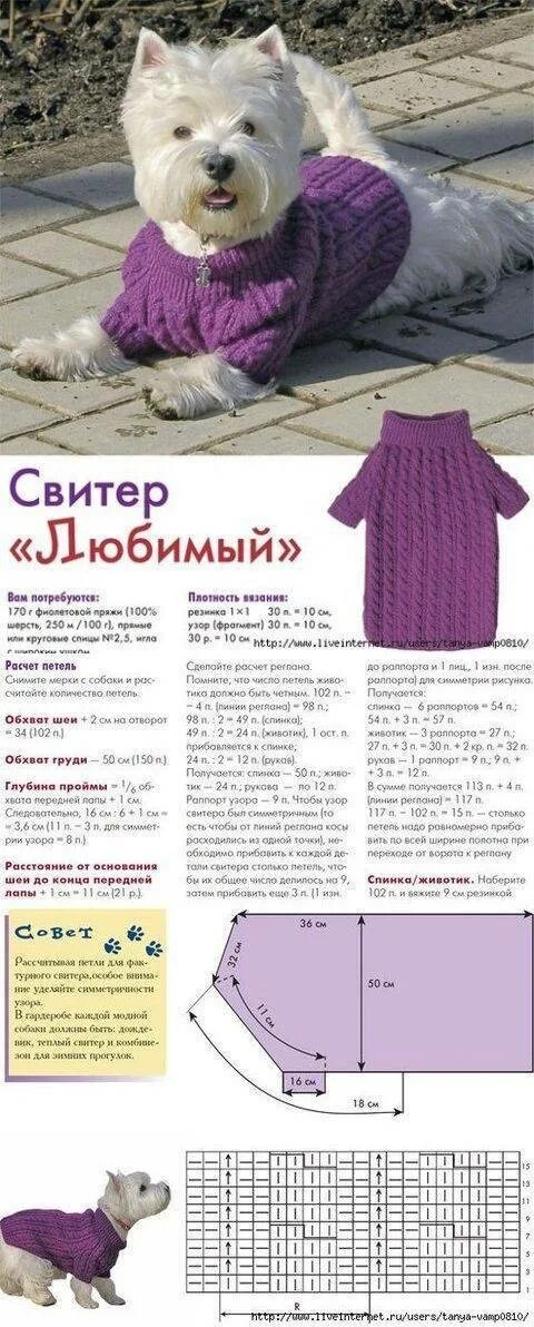 Схема вязания одежды для собак. Свитер для йорка спицами схема и описание для начинающих. схема вязания для собак мелких пород спицами. схема свитера для собаки спицами для начинающих. вяжем одежду для собак спицами с описанием и схемами для начинающих.