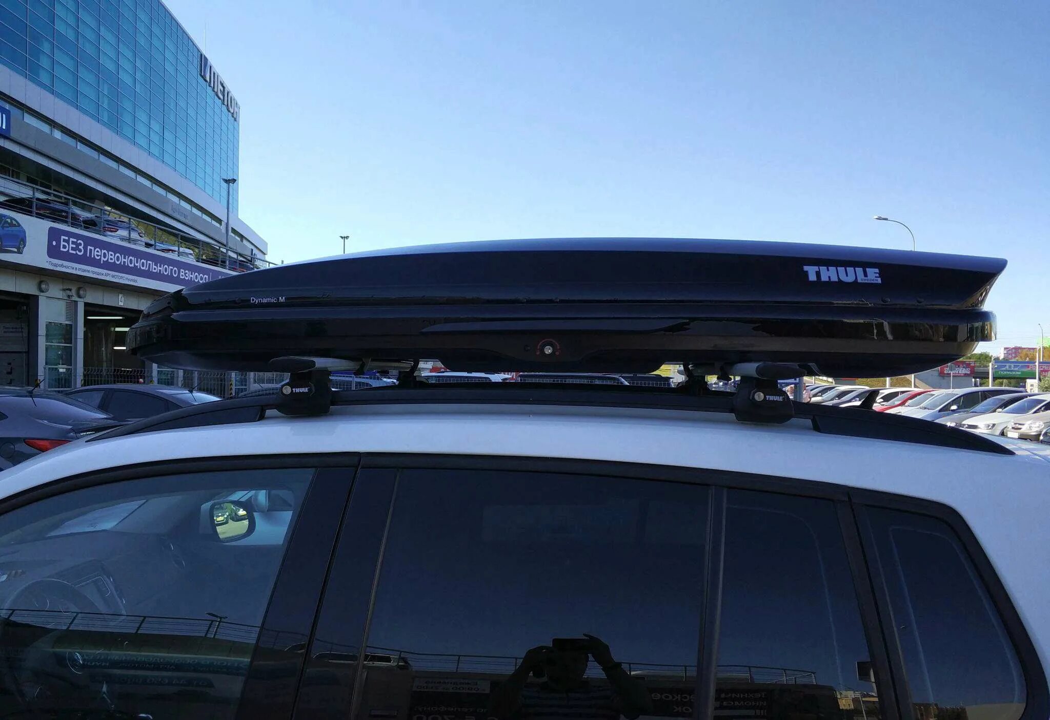 Thule dynamic. Thule Dynamic 800. Thule Dynamic m 800. Бокс Thule Dynamic m 800. Автомобильный бокс Thule Dynamic m (800).