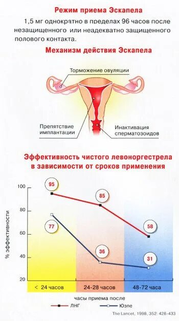 Беременность после месячных форум