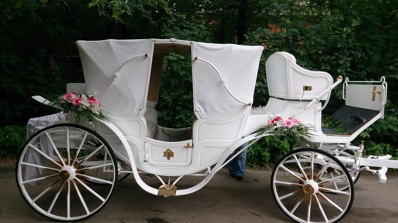 визави карета. карета для лошадей михаила казенкина. карета. фаэтон карета ландо экипаж. царская карета.