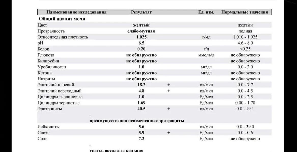 Лейкоциты в моче у женщин повышены почему. Норма лейкоцитов и эритроцитов в моче у мужчин. Норма лейкоцитов в моче у ребенка 2. Показатель белка в моче норма. Нормы показателя лейкоцитов мочи мужчина.