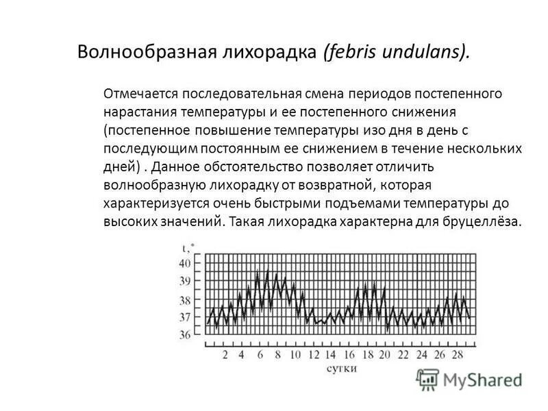 Повышение температуры тела. Повышение температуры тела при инфекции. Почему поднимается температура. Озноб у стариков. Механизм повышения температуры при лихорадке.