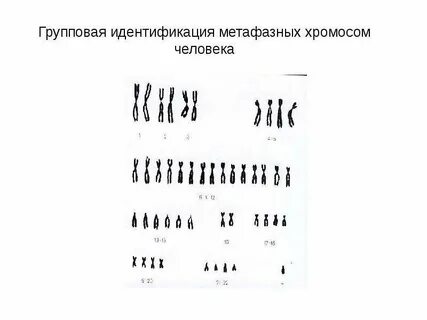 Групп идентификация