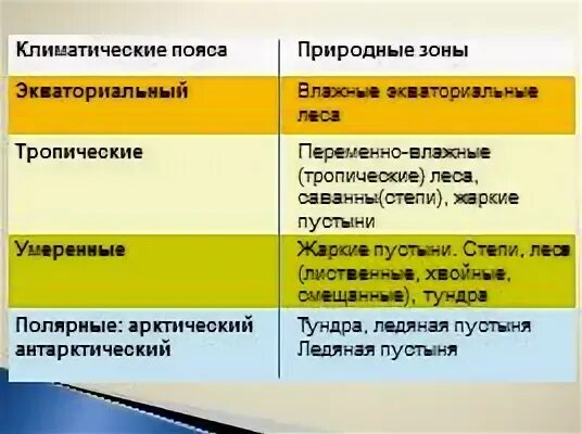 Природные зоны экваториального пояса