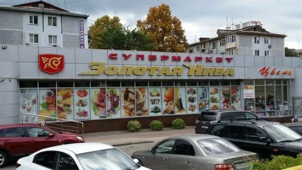 профи дагомыс