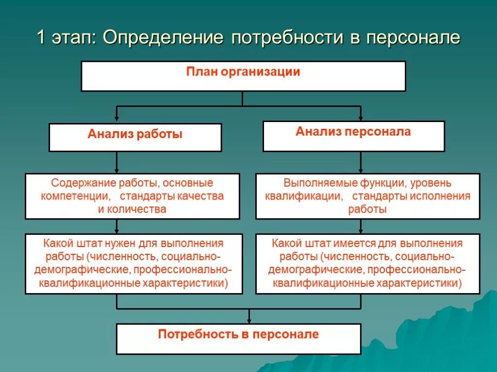 Этап анализ потребностей. Планирование потребности предприятия в персонале. Подходы к определению потребности организации в персонале. Методов планирования потребности в персонале;. Организационный план потребность в персонале.