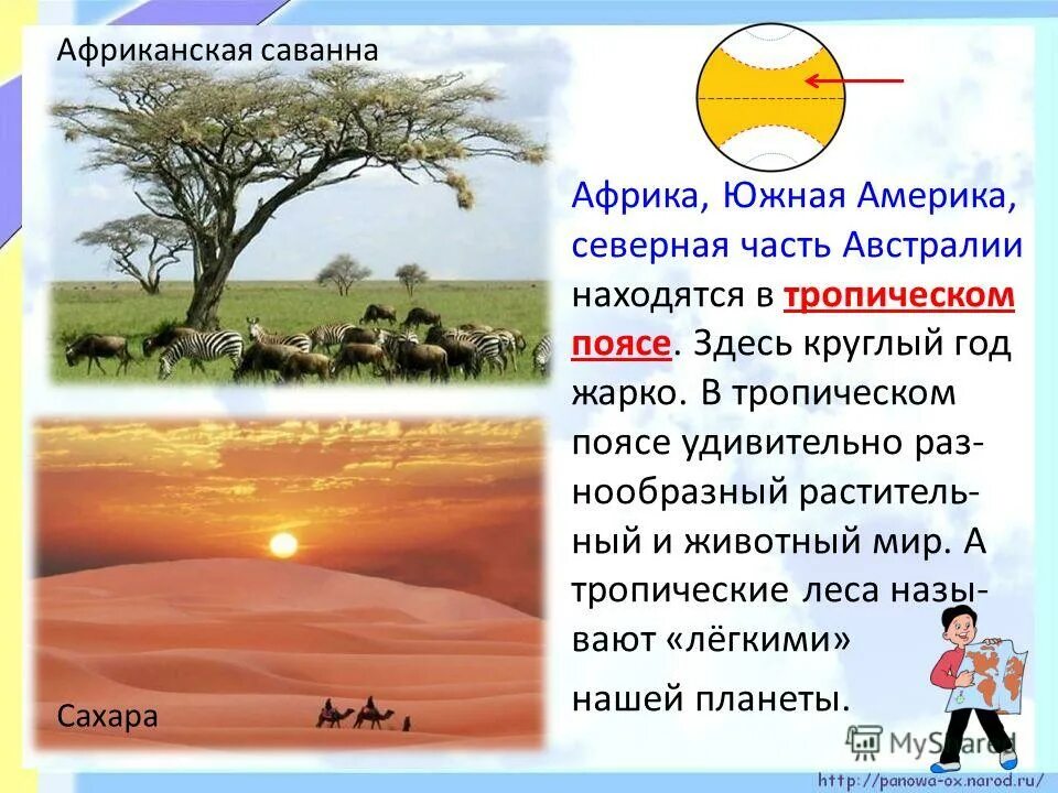 жаркие районы земли. саванна и тропические леса на глобусе. холодные и жаркие районы земли 1 класс.
