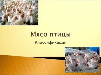 Экспертиза мяса птицы