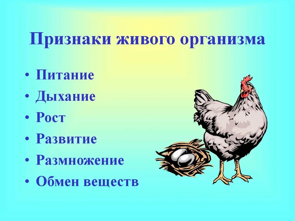 живой аквариум. аквариум 3д. аквариум 3д. аквариумные рыбки на рабочий стол. 5 1 все живые.