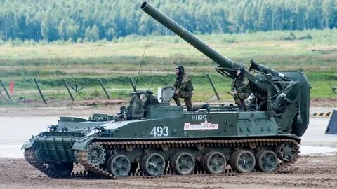 2с4 тюльпан