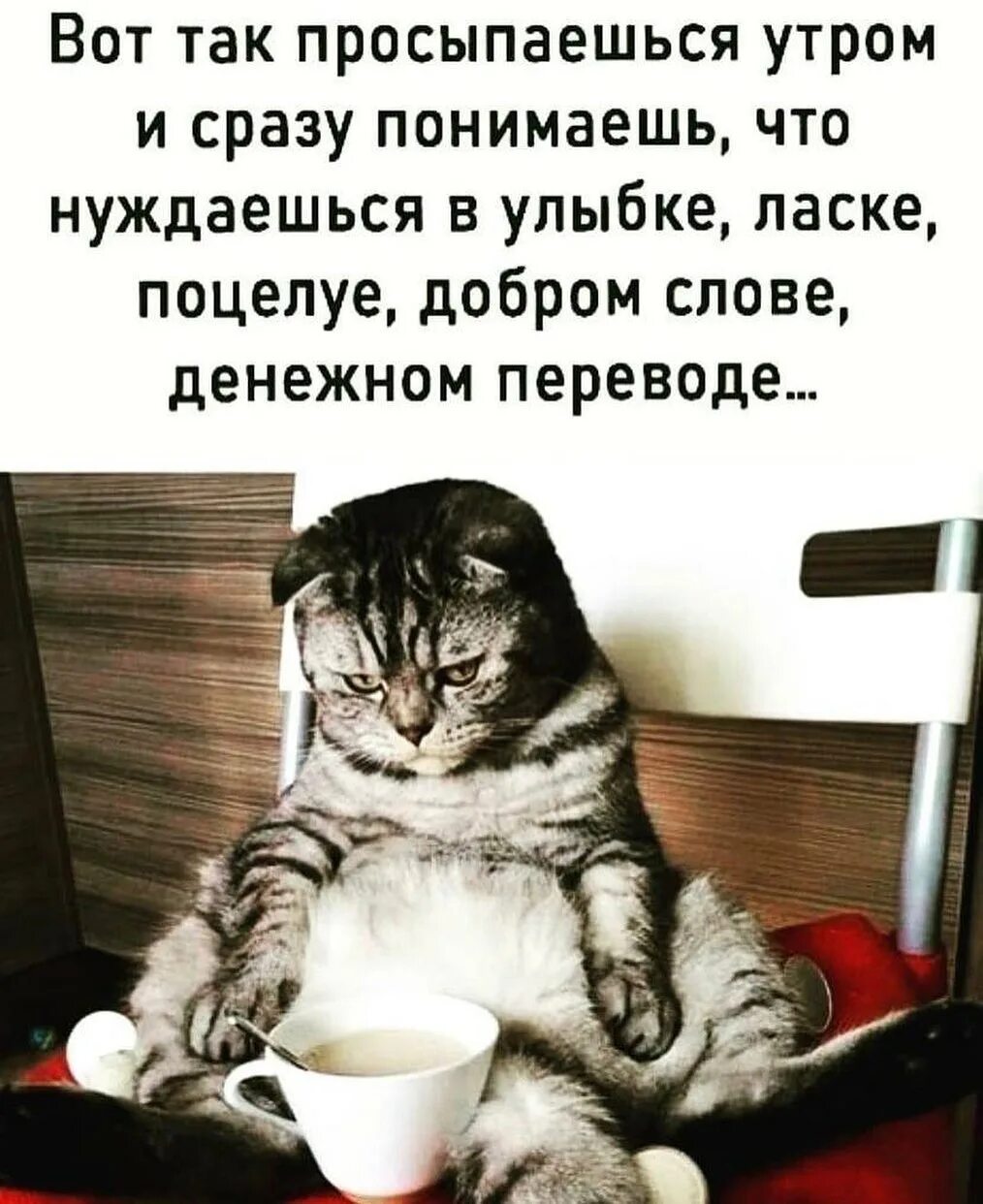 Дай поспать 10 минут