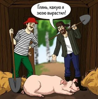 Либо сегодня