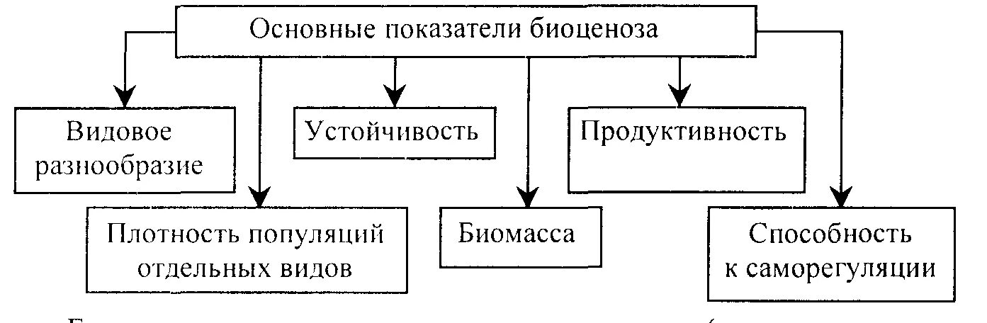 Плотность биогеоценоза. Основные показатели биогеоценоза. основные показатели экосистемы. основные показатели биоценоза. структура биогеоценоза схема.