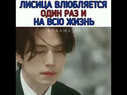 Влюбиться в лиса 2024