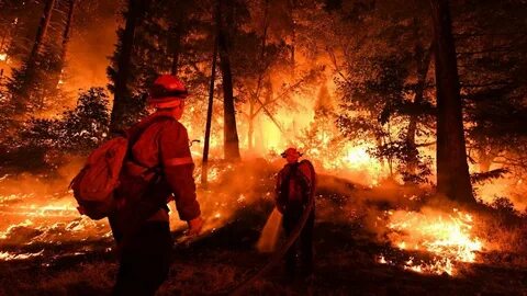 Fire help