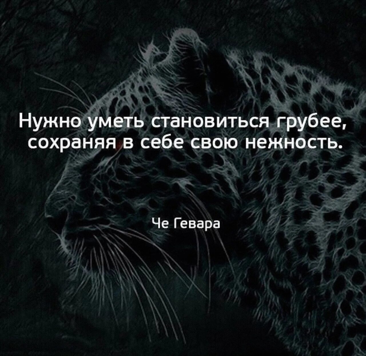 Нежность высказывания. Нежность цитаты. Грубые цитаты. Грубые статусы. Очень грубые цитаты.