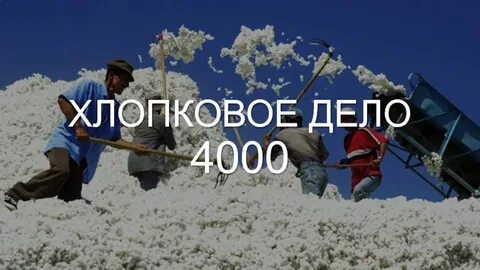 Хлопковое дело