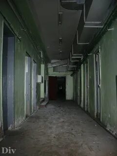Пту 81