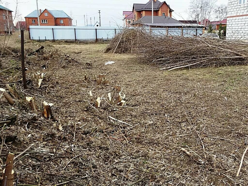 Нужно расчистить участок. Расчистка участка. Расчистка участка от деревьев. Расчистка участков до и после. Уборка участков.