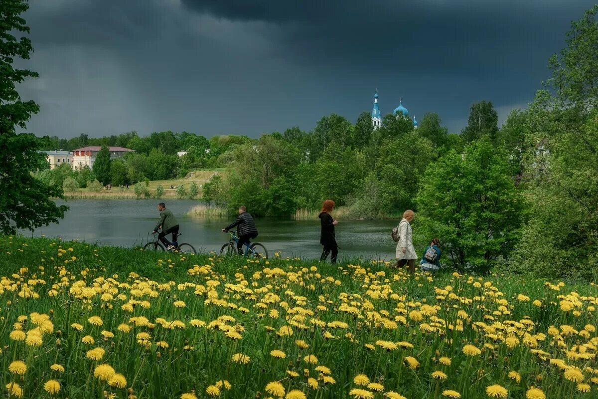 Яркие краски лета для детей. Лето дети. Яркое солнце природа. Лето фото. Летняя izkgf.