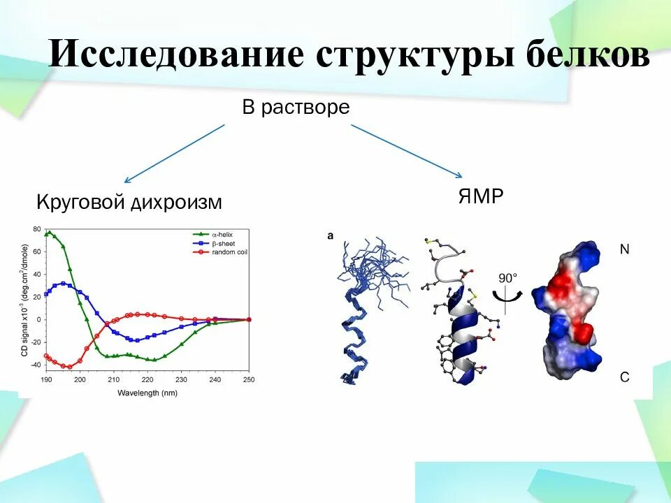 Метод изучения структуры. Методы исследования белков. методы исследования структуры белков. методы изучения строения белков. спектроскопия кругового дихроизма.